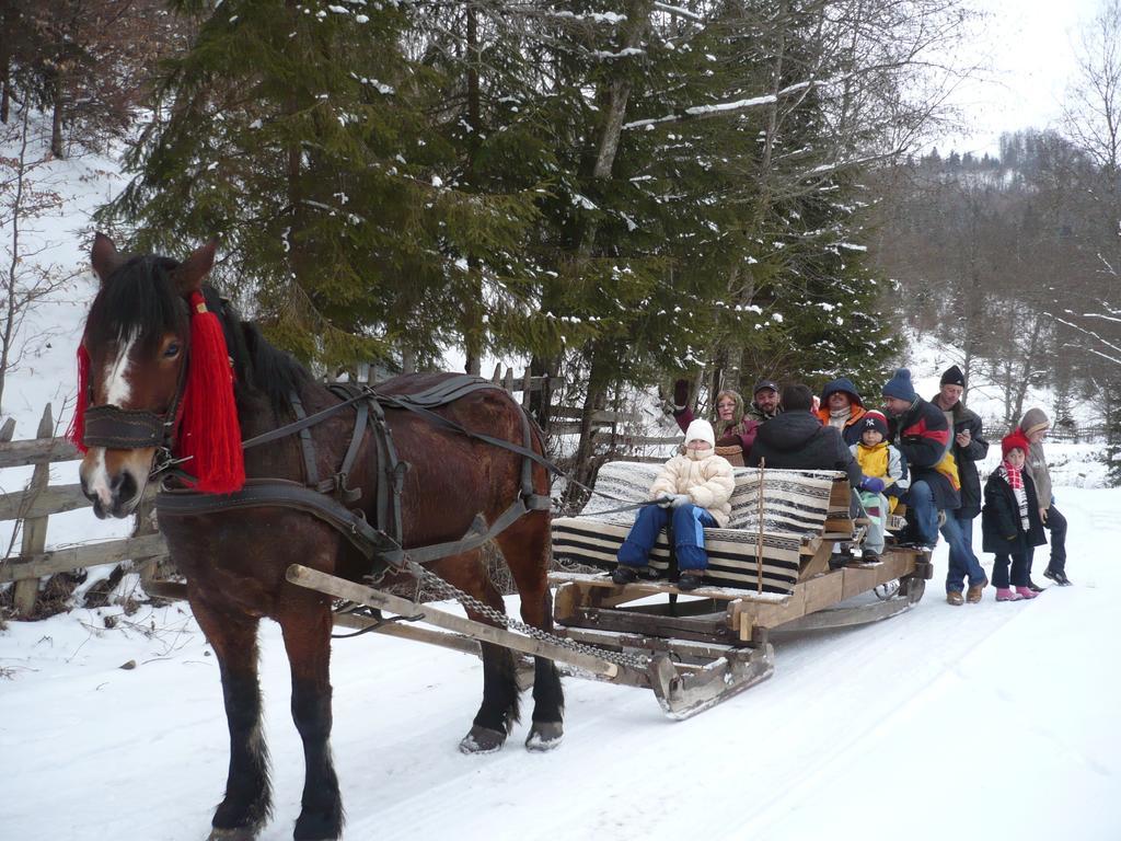 Casa Bunicii Din Bucovina Villa วามา ห้อง รูปภาพ