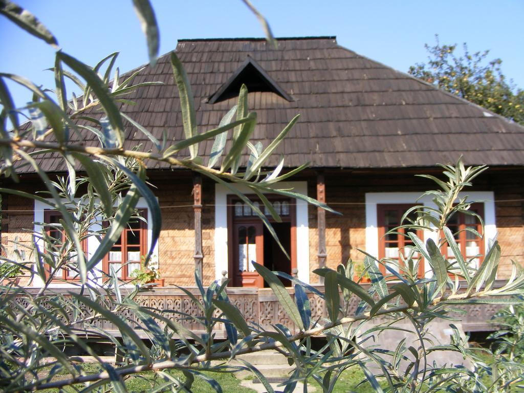Casa Bunicii Din Bucovina Villa วามา ภายนอก รูปภาพ
